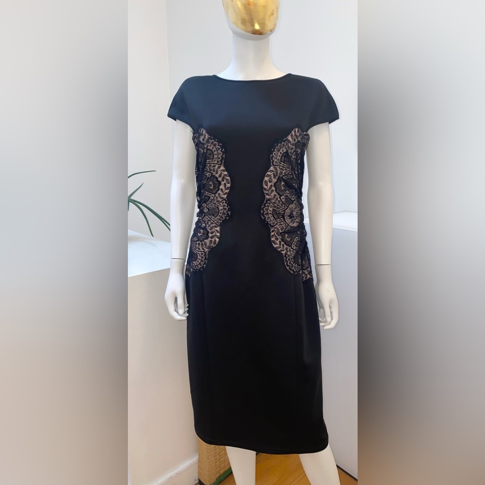 Todashi Shoji cocktail black dress cap sleeves & sheer shirred lace side panels.
